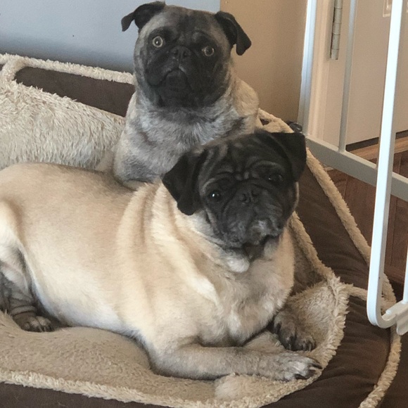 Meet your Posher, Pamela - Picture 6 of 8